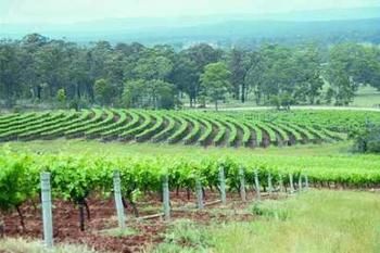 Hunter Hideaway Cottages - Tourism Caloundra 3