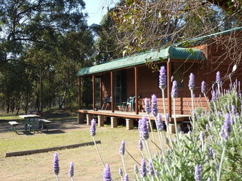 Hunter Hideaway Cottages - Tourism Caloundra 4