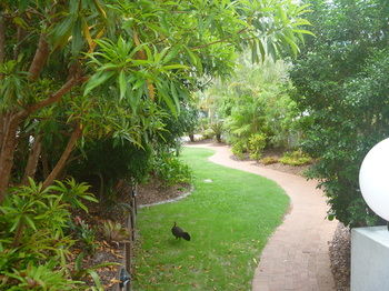 Chez Noosa Resort Motel - Tourism Caloundra 21