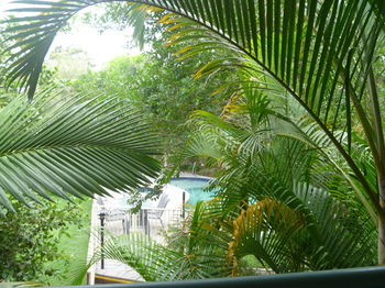 Chez Noosa Resort Motel - Tourism Caloundra 29