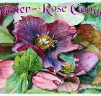 A Winter-rose Cottage BampB - Tourism Caloundra