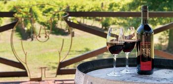 Wild Cattle Creek Estate - Tourism Caloundra 10