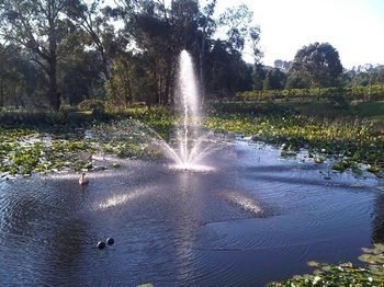 Wild Cattle Creek Estate - Tourism Caloundra 14