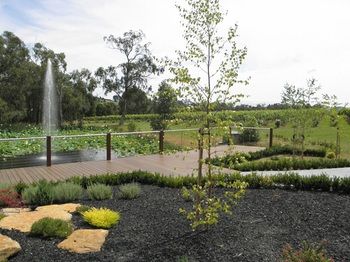 Wild Cattle Creek Estate - Tourism Caloundra 26