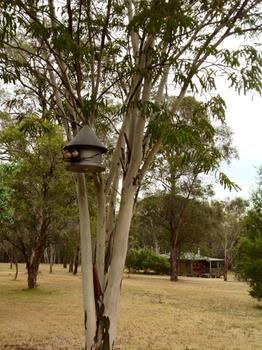 Buffs At Pokolbin - Tourism Caloundra 2