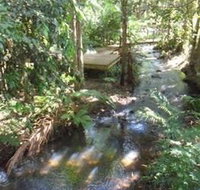 Treetops Accommodation Montville - Tourism Caloundra