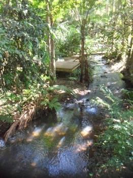 Treetops Accommodation Montville - Tourism Caloundra 0