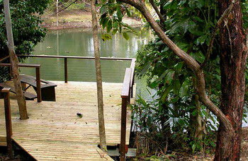 Treetops Accommodation Montville - Tourism Caloundra 8