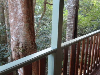 Treetops Accommodation Montville - Tourism Caloundra 9