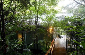 Treetops Accommodation Montville - Tourism Caloundra 12