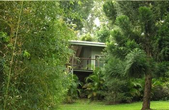 Treetops Accommodation Montville - Tourism Caloundra 13
