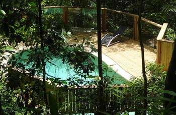 Treetops Accommodation Montville - Tourism Caloundra 16