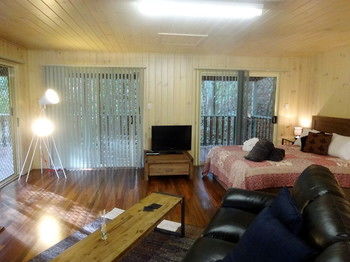 Treetops Accommodation Montville - Tourism Caloundra 19