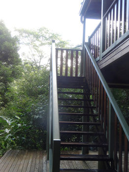 Treetops Accommodation Montville - Tourism Caloundra 21