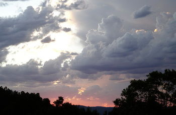 Treetops Accommodation Montville - Tourism Caloundra 26