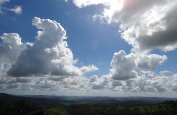Treetops Accommodation Montville - Tourism Caloundra 28
