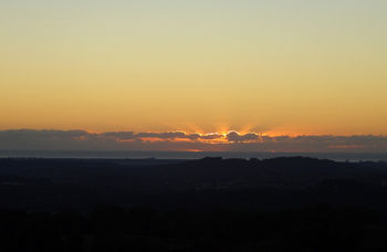 Treetops Accommodation Montville - Tourism Caloundra 29