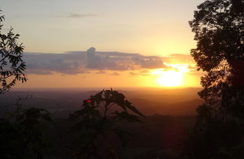 Treetops Accommodation Montville - Tourism Caloundra 30