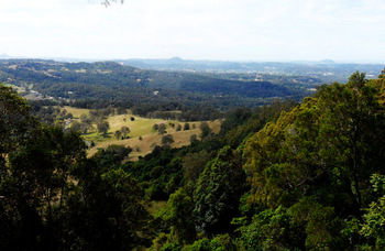 Treetops Accommodation Montville - Tourism Caloundra 31