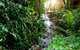 Treetops Accommodation Montville - thumb 48