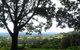 Treetops Accommodation Montville - thumb 49