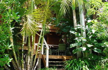 Treetops Accommodation Montville - Tourism Caloundra 54