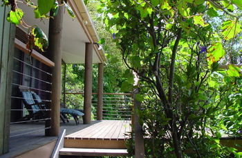 Treetops Accommodation Montville - Tourism Caloundra 59
