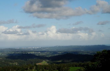 Treetops Accommodation Montville - Tourism Caloundra 63