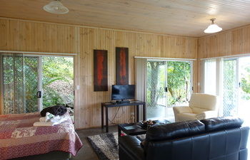 Treetops Accommodation Montville - Tourism Caloundra 64