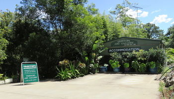 Treetops Accommodation Montville - Tourism Caloundra 67