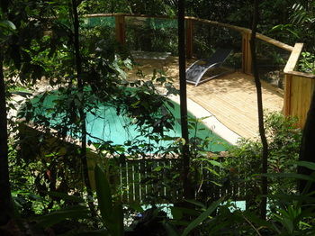 Treetops Accommodation Montville - Tourism Caloundra 74