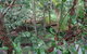 Treetops Accommodation Montville - thumb 80