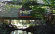 Treetops Accommodation Montville - thumb 87