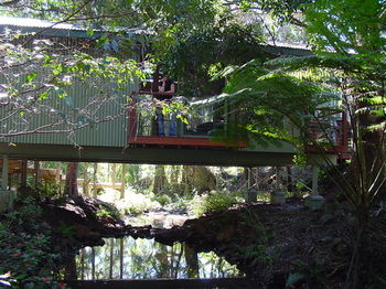 Treetops Accommodation Montville - Tourism Caloundra 87