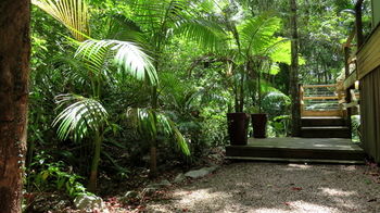 Treetops Accommodation Montville - Tourism Caloundra 89