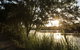 Ingenia Holidays Nepean River - thumb 41