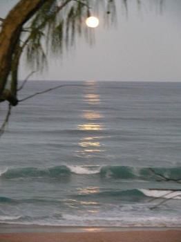 Andari - Tourism Caloundra 2