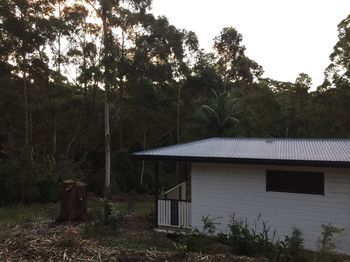 Mapleton Cabins & Caravan Park - Tourism Caloundra 19