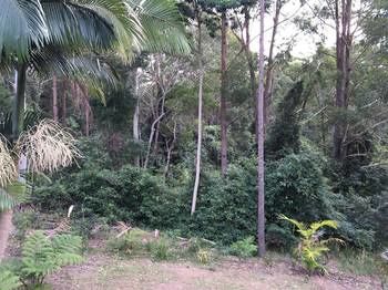 Mapleton Cabins & Caravan Park - Tourism Caloundra 27