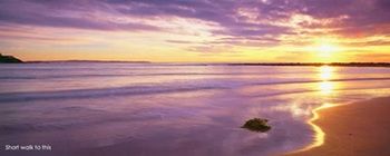 Kims Beachside Lodges - Tourism Caloundra 22