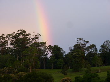 Bellthorpe Stays - Tourism Caloundra 19