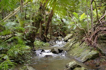 Bellthorpe Stays - Tourism Caloundra 25