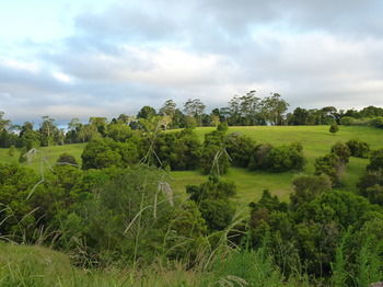 Bellthorpe Stays - Tourism Caloundra 34