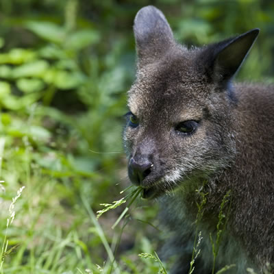 Allure Beach Retreat - Tourism Caloundra 6