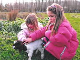 Huon Valley Caravan Park - Tourism Caloundra 0