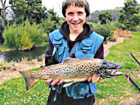 Huon Valley Caravan Park - Tourism Caloundra 1