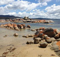 Lake Eckersley campground - Tourism Caloundra