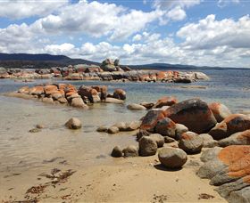 Lake Eckersley Campground - Tourism Caloundra 0
