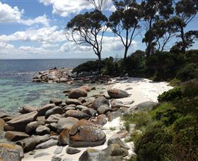Lake Eckersley Campground - Tourism Caloundra 2