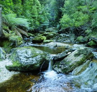 Tarkine Wilderness Experience at Corinna - Tourism Caloundra